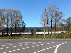 -五营红松林海景区