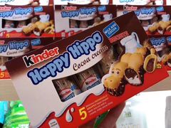 健达·河马牛奶榛子巧克力-水果天空(东葛店)