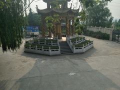 -东方巨龟苑景区