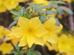 -亚龙湾中心广场