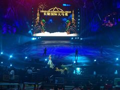 -广州长隆国际大马戏