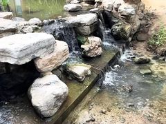 -白水寺森林公园