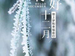 -清真马家美食城•海鲜•青岛菜•火锅(延安三路店)