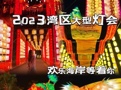 -欢乐海岸椰林沙滩-2025湾区超级灯会
