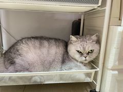 -Oasis绿洲银饰珍珠手作diy(壹方城店)
