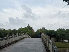 -上海海湾国家森林公园