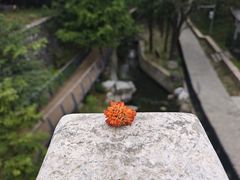-白水寺森林公园