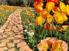 -昆明市金殿名胜区