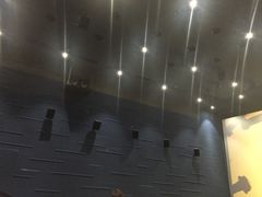 -春天国际影城(中庚漫游城杜比全景声店)