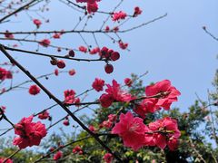 -重庆彩云湖湿地公园