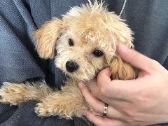 -平行世界·猫咖(首经贸店)