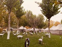 -九十九顶毡房(阜石路店)