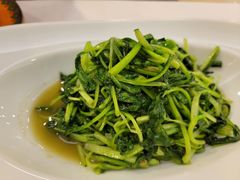 蒜茸鸡毛菜-首钢一九一九大酒楼(石景山店)