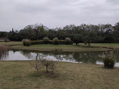 -夏河溪乡野公园