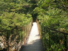 -祁门牯牛降观音堂风景区