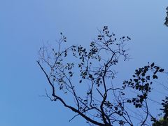 -千岛湖石林