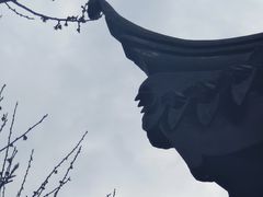 -香雪海