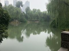 -西苑公园