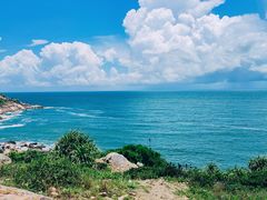 -广东惠东海龟国家级自然保护区