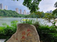 -重庆彩云湖湿地公园
