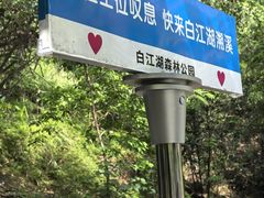 -广州白江湖森林公园