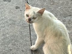 -南京金牛湖风景区