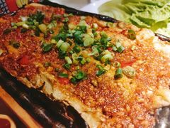 -猫爪爪原切自助烤肉(观音桥阳光世纪店)