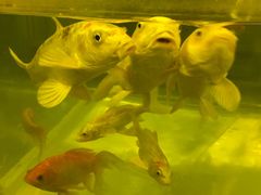 -中影国际影城(兰生大厦CINITY LED店)