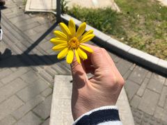 -白塘生态植物园