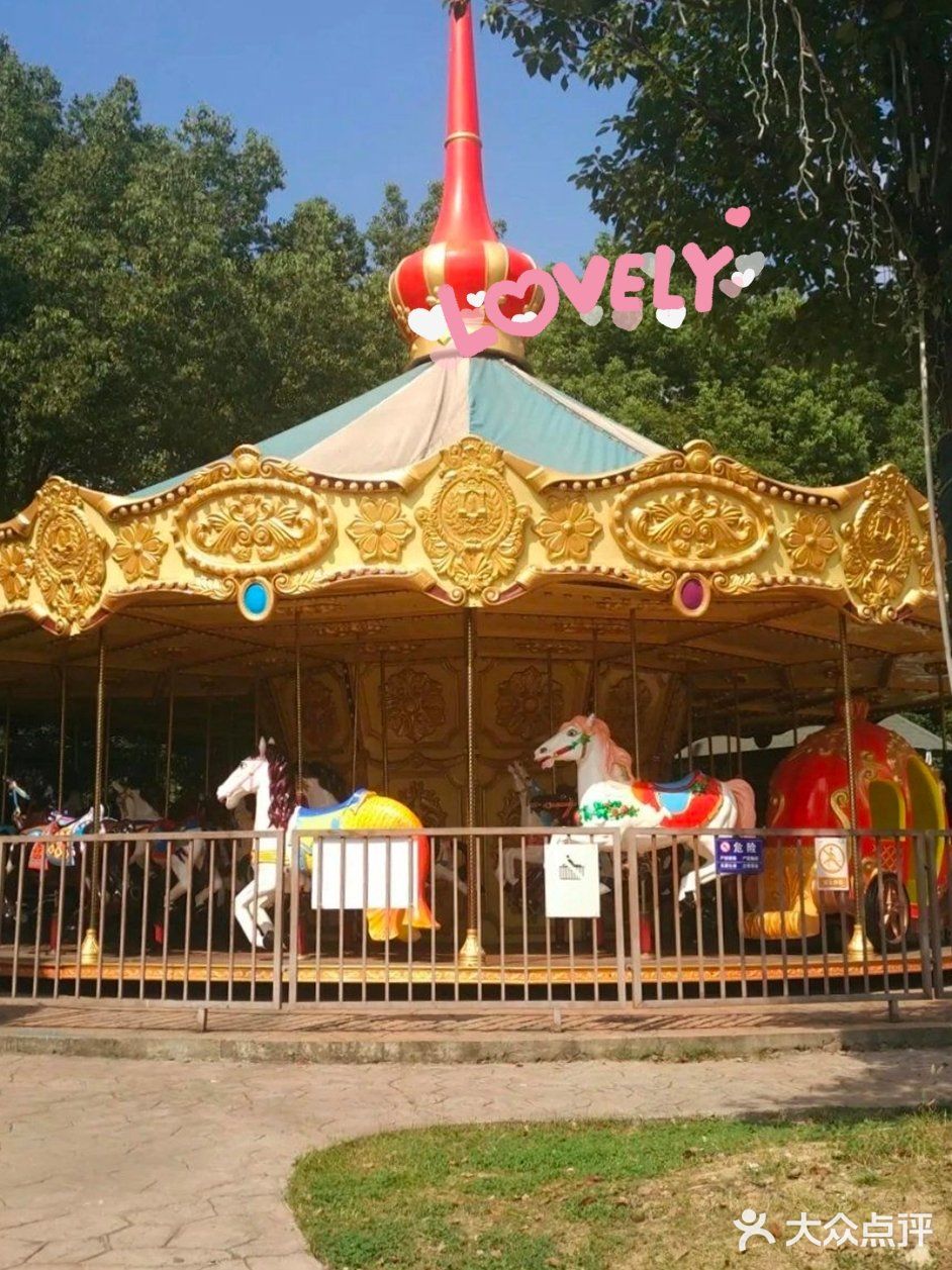 90元去带有白马的游乐园玩吧