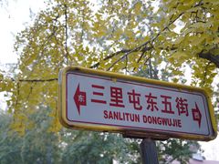 -三里屯东五街银杏大道