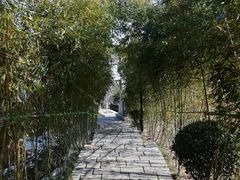 -竹子庵公园