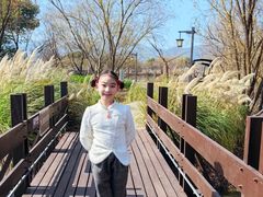 -长兴太湖图影湿地文化园