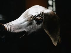 -闵行博物馆