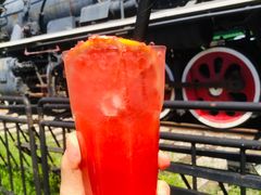 西柚气泡水Grapefruitade-车谷小镇