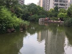 -新湖明珠城