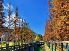 -大围山国家森林公园