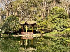 -杭州植物园