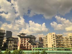 -海豚湾高端月子会所(黄浦店)