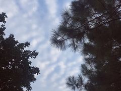 -艾溪湖湿地公园