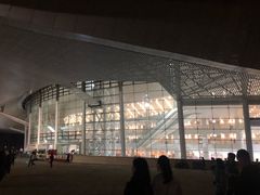 -南京奥林匹克体育中心-体育馆