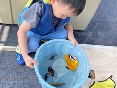 -小猫钓鱼海钓俱乐部(椰梦长廊店)