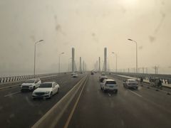 -如意香辣鸡架(总店)