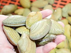 -巽寮印象美食部落餐厅·海鲜·地方特色菜(惠州体验店)