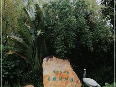 -福田红树林生态公园