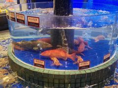-金悦轩海鲜酒家(拱北店)