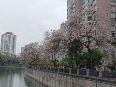 -成都市活水公园