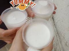 -洪馨椰子