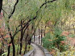 -碓臼峪自然风景区