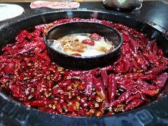 -渝大狮毛肚老火锅(普陀店)